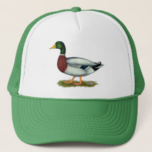Mallard Duck Drake Trucker Pet