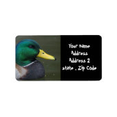Mallard Duck Etiket (Voorkant)