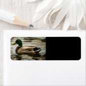 Mallard Duck Etiket (Insitu)