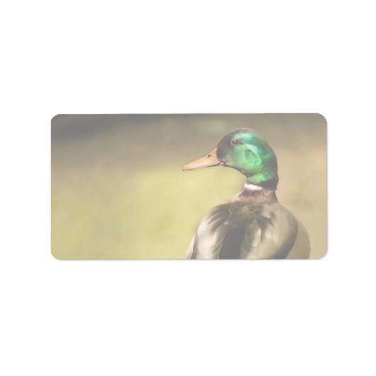 Mallard Duck Etiket (Voorkant)