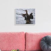 Mallard Duck flapping her wings Canvas Afdruk (Insitu (Woonkamer))