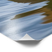 Mallard Duck Foto Afdruk (Hoek)