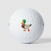 Mallard Duck Golfballen (Voorkant)