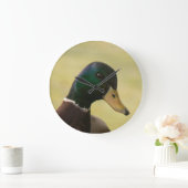 Mallard Duck Grote Klok (Huis)