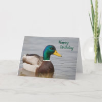 Mallard Duck Happy Birthday-kaart