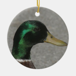 MALLARD DUCK HEAD ORNAMENT