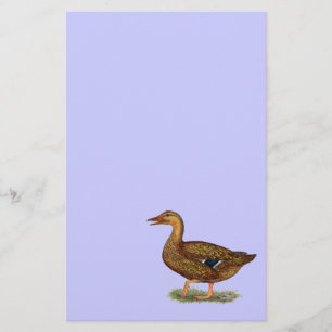 Mallard Duck Hen Briefpapier