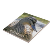 Mallard Duck Hen Photo Ceramic Tile Tegeltje (Zijkant)