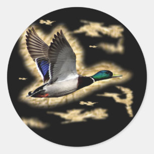Mallard Duck Hunting Ronde Sticker