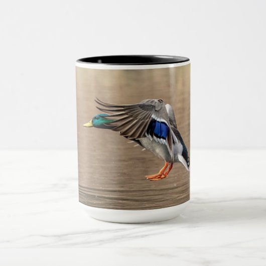 Mallard Duck in vlucht Mok (Midden)