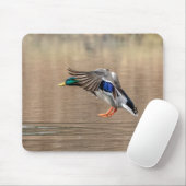 Mallard Duck in vlucht Muismat (Met muis)