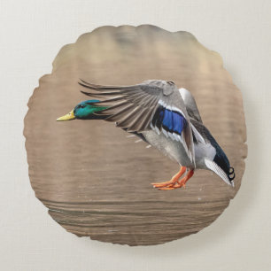 Mallard Duck in vlucht Rond Kussen