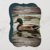 Mallard Duck Kaart (Voorkant / Achterkant)