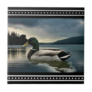 Mallard Duck Lake Tegeltje