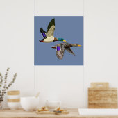 Mallard Duck Lovers Poster (Keuken)