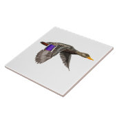 Mallard Duck Lovers Tegeltje (Zijkant)