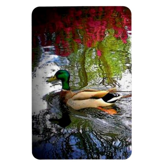 Mallard Duck Magneet (Verticaal)