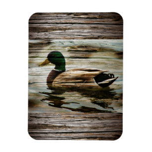 Mallard Duck Magneet