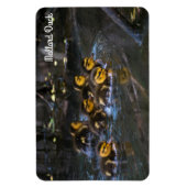 Mallard Duck Magneet (Verticaal)