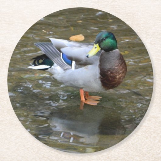 Mallard Duck (Man)Papier Onderzetter (Voorkant)