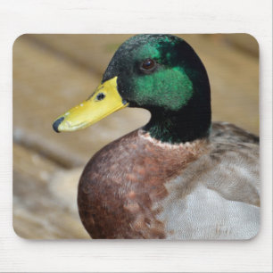 Mallard Duck Muismat