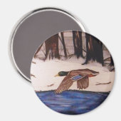 Mallard Duck op een missie Magneet (Voorkant / Achterkant)