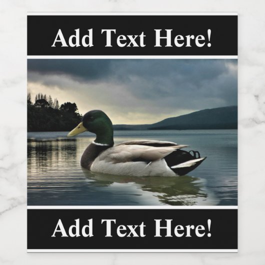 Mallard Duck op het etiket van het meer (Enkel label)