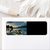 Mallard Duck op het meer Etiket (Insitu)