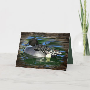 Mallard Duck op het meer Kaart