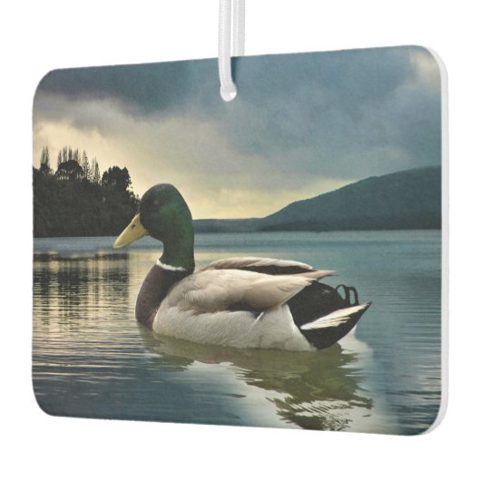 Mallard Duck op het meer Luchtverfrisser (Links)