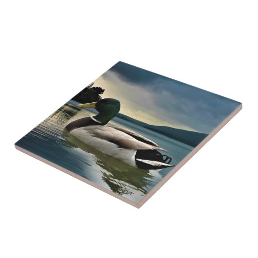 Mallard Duck op het meer Tegeltje (Zijkant)