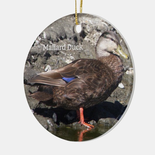Mallard Duck Ornament (Links)