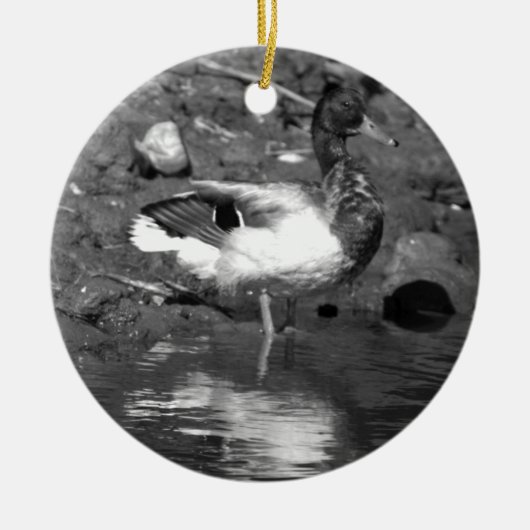 Mallard Duck Ornament (Voorkant)