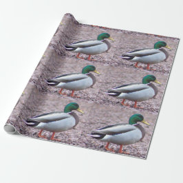 Mallard Duck Photo Cadeaupapier