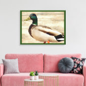 Mallard Duck Photo Canvas Afdruk (Insitu (Woonkamer))