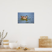 Mallard Duck Photo Poster (Keuken)