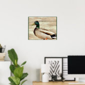 Mallard Duck Photo Poster (Thuiskantoor)