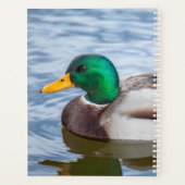 Mallard Duck Planner (Achterkant)