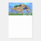Mallard Duck Post-it® Notes (Voorkant)