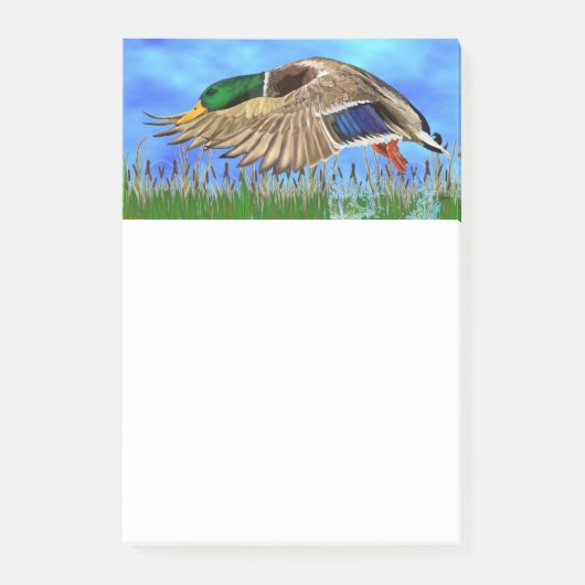 Mallard Duck Post-it® Notes (Voorkant)