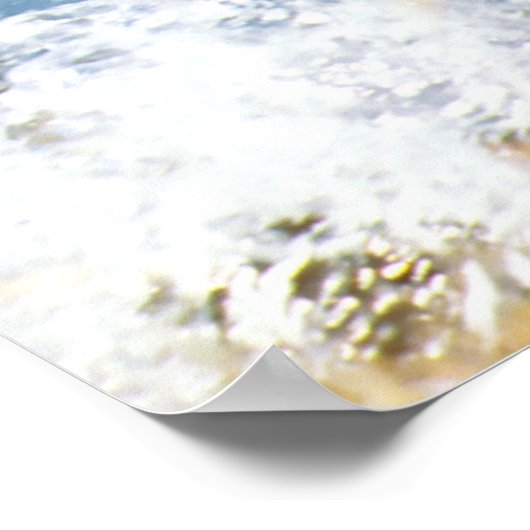 Mallard Duck Poster (Hoek)