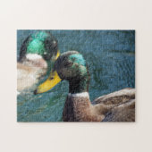 Mallard Duck Puzzle Legpuzzel (Horizontaal)