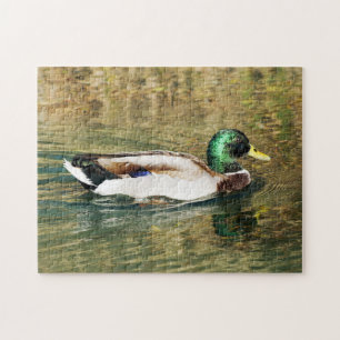 Mallard Duck Puzzle Legpuzzel
