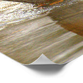 Mallard Duck Reflection Photo Poster (Coin)