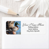 Mallard Duck Return Address Etiket (Insitu)