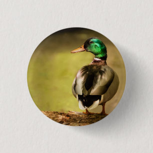 Mallard Duck Ronde Button 3,2 Cm