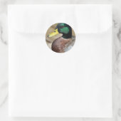 Mallard Duck Ronde Sticker (Tas)