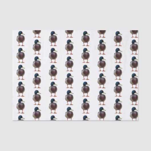 Mallard Duck Tissue Paper Tissuepapier (Voorkant)