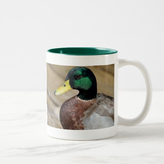 Mallard Duck Tweekleurige Koffiemok (Rechts)