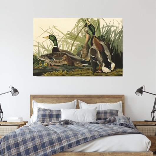 Mallard Duck van Audubon's Birds of America Canvas Afdruk (Insitu (Slaapkamer))